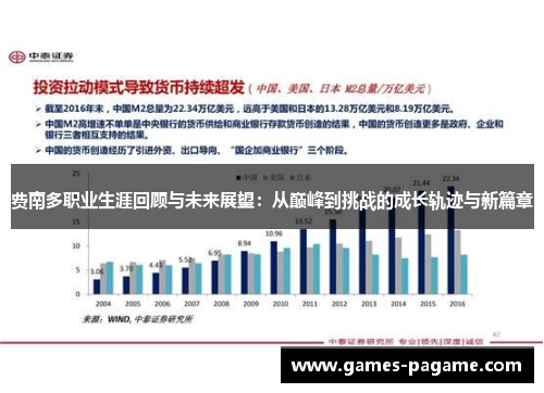 费南多职业生涯回顾与未来展望：从巅峰到挑战的成长轨迹与新篇章
