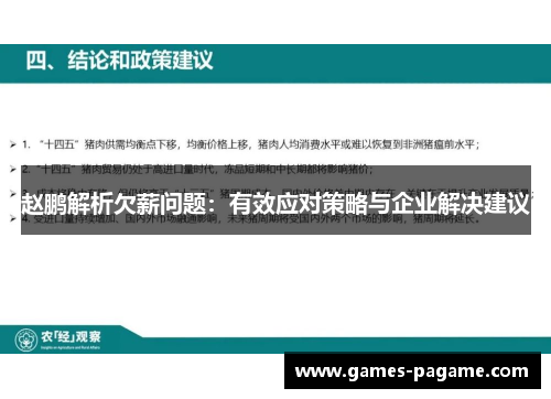 赵鹏解析欠薪问题：有效应对策略与企业解决建议