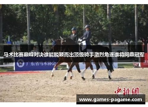 马术比赛巅峰对决谁能脱颖而出顶级骑手激烈角逐谁将问鼎冠军