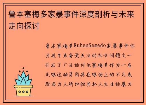 鲁本塞梅多家暴事件深度剖析与未来走向探讨